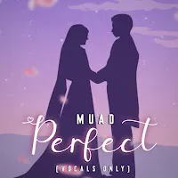 Muad — Perfect (Vocals Only) — обложка